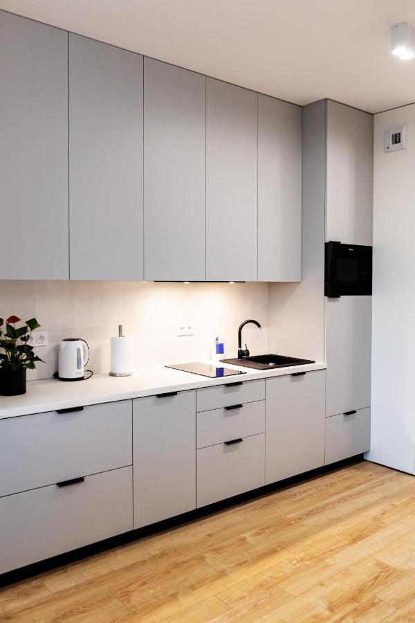 Downtown Apartments ,Next To Spodek-Free Parking كاتوفيتسه المظهر الخارجي الصورة